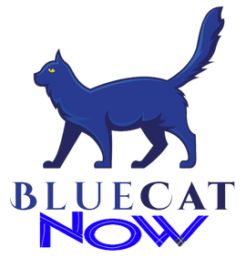 BlueCatNow