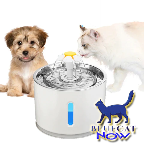 Bebedouro Pet Fonte de Água para Gatos e Cães