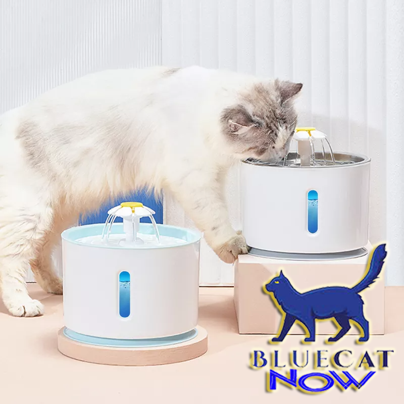 Bebedouro Pet Fonte de Água para Gatos e Cães