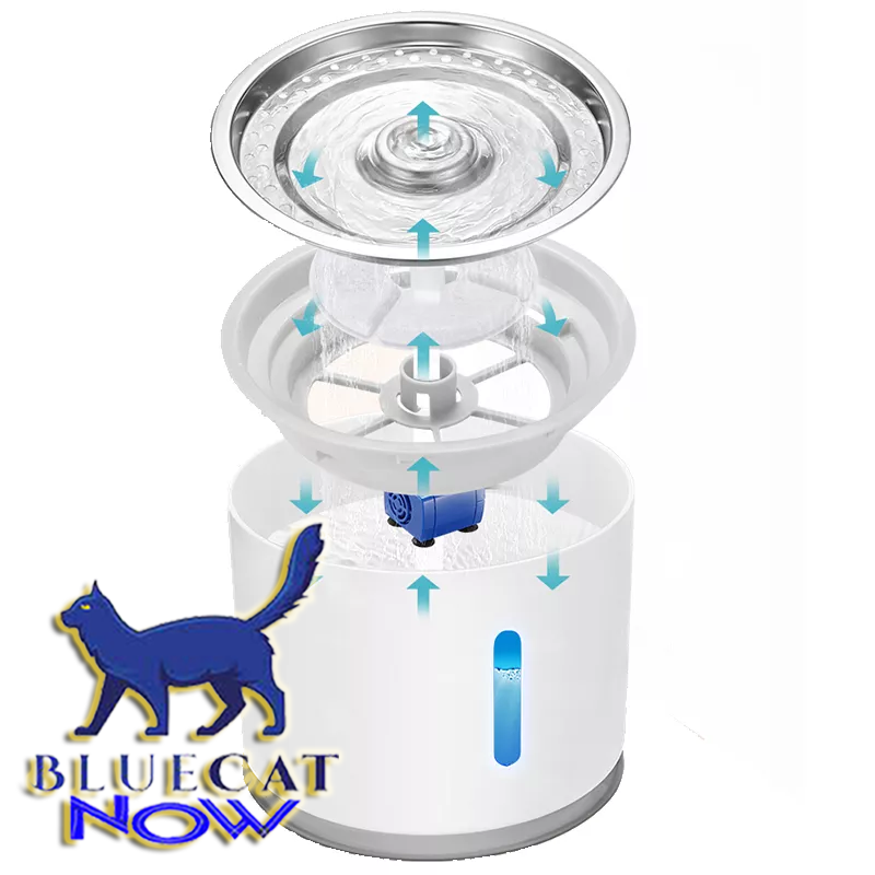 Bebedouro Pet Fonte de Água para Gatos e Cães